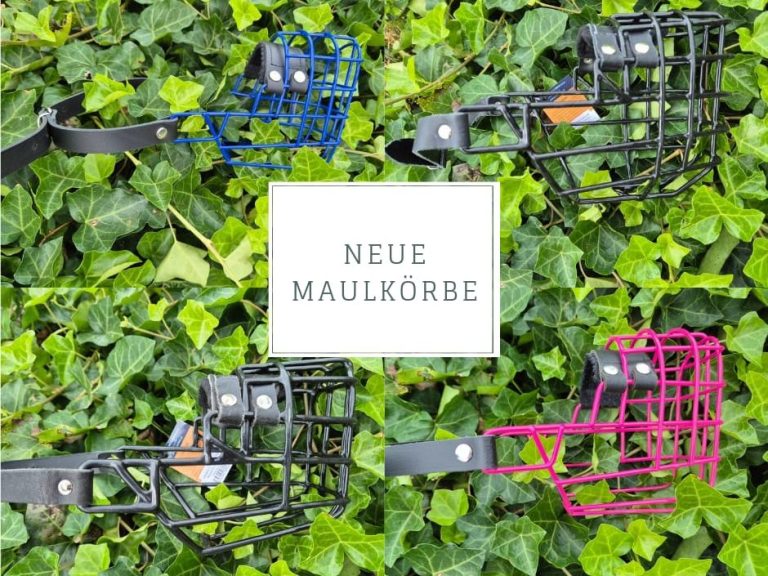 Maulkörbe - Maulkorbberatung