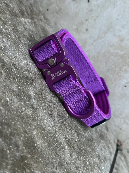 18,- Taktisches Hundehalsband ULTRA LIGHT Dunkel-Lila Edition XXS
