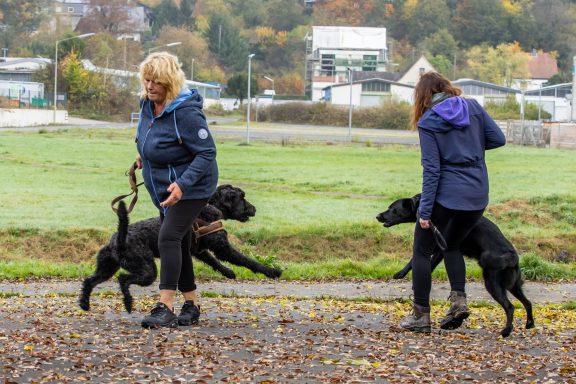 Begegnungstraining 
